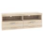 Тумба RTV 2S2NL дуб Санремо