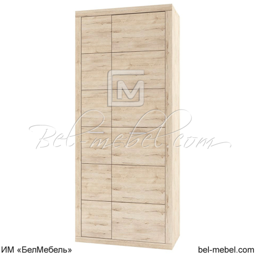 Шкаф для одежды 2D дуб Санремо
