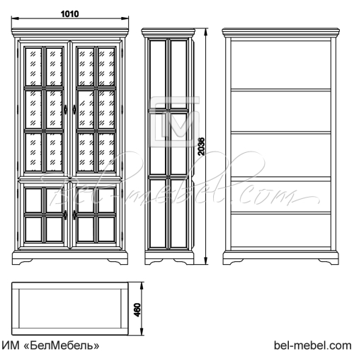 Шкаф для книг "Сальвина" эскиз 49