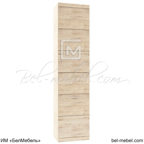 Шкаф для одежды 1DG дуб Санремо