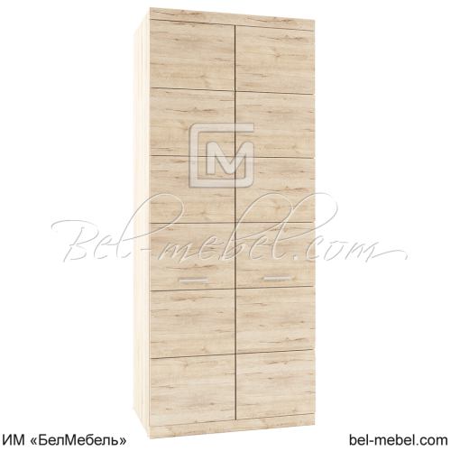 Шкаф для одежды 2DG дуб Санремо